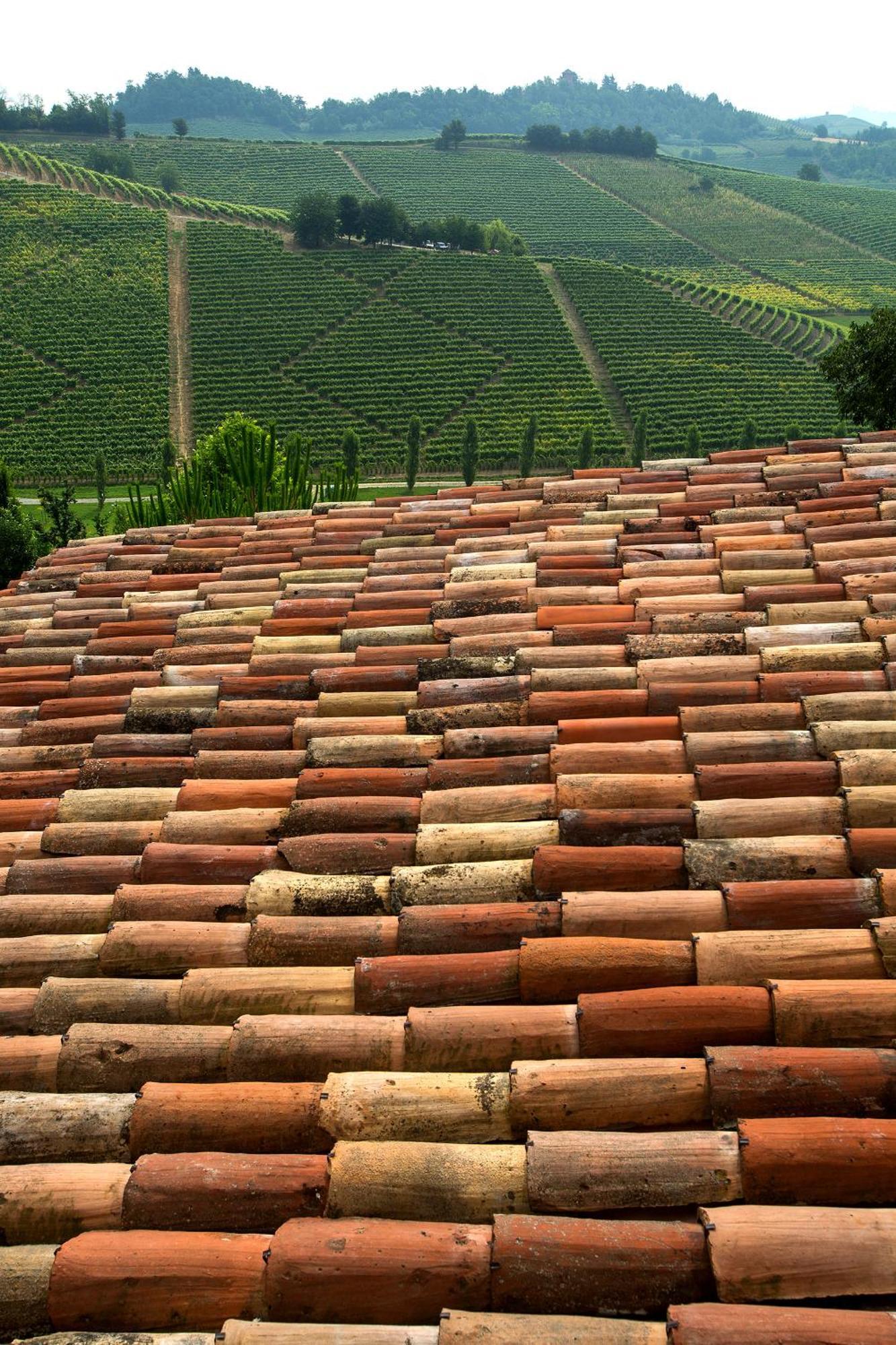 Relais Di Tenuta Santa Caterina B&B Grazzano Badoglio Oda fotoğraf