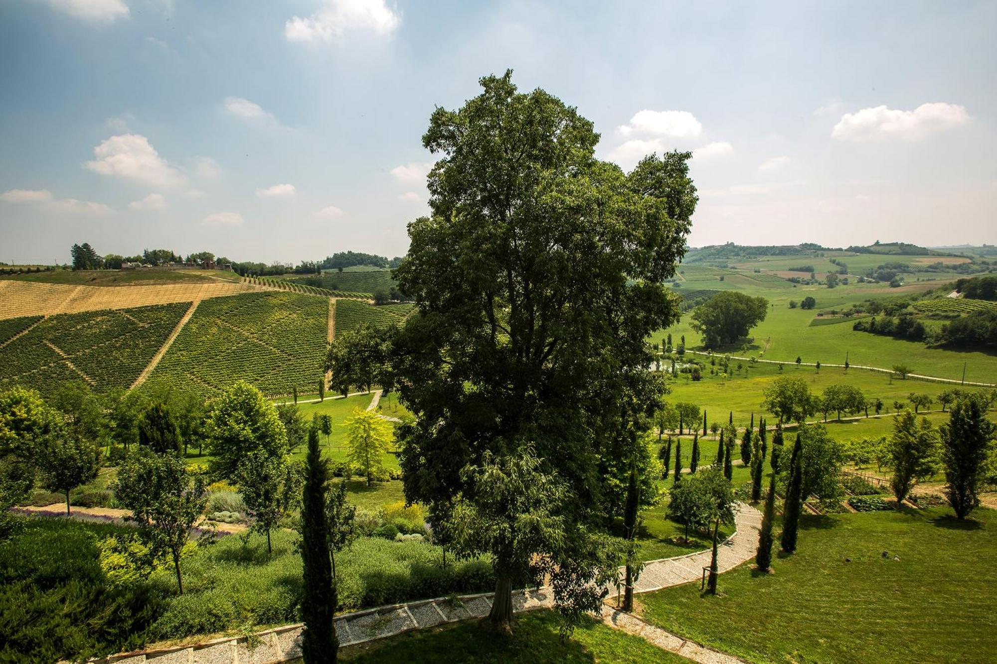 Relais Di Tenuta Santa Caterina B&B Grazzano Badoglio Oda fotoğraf