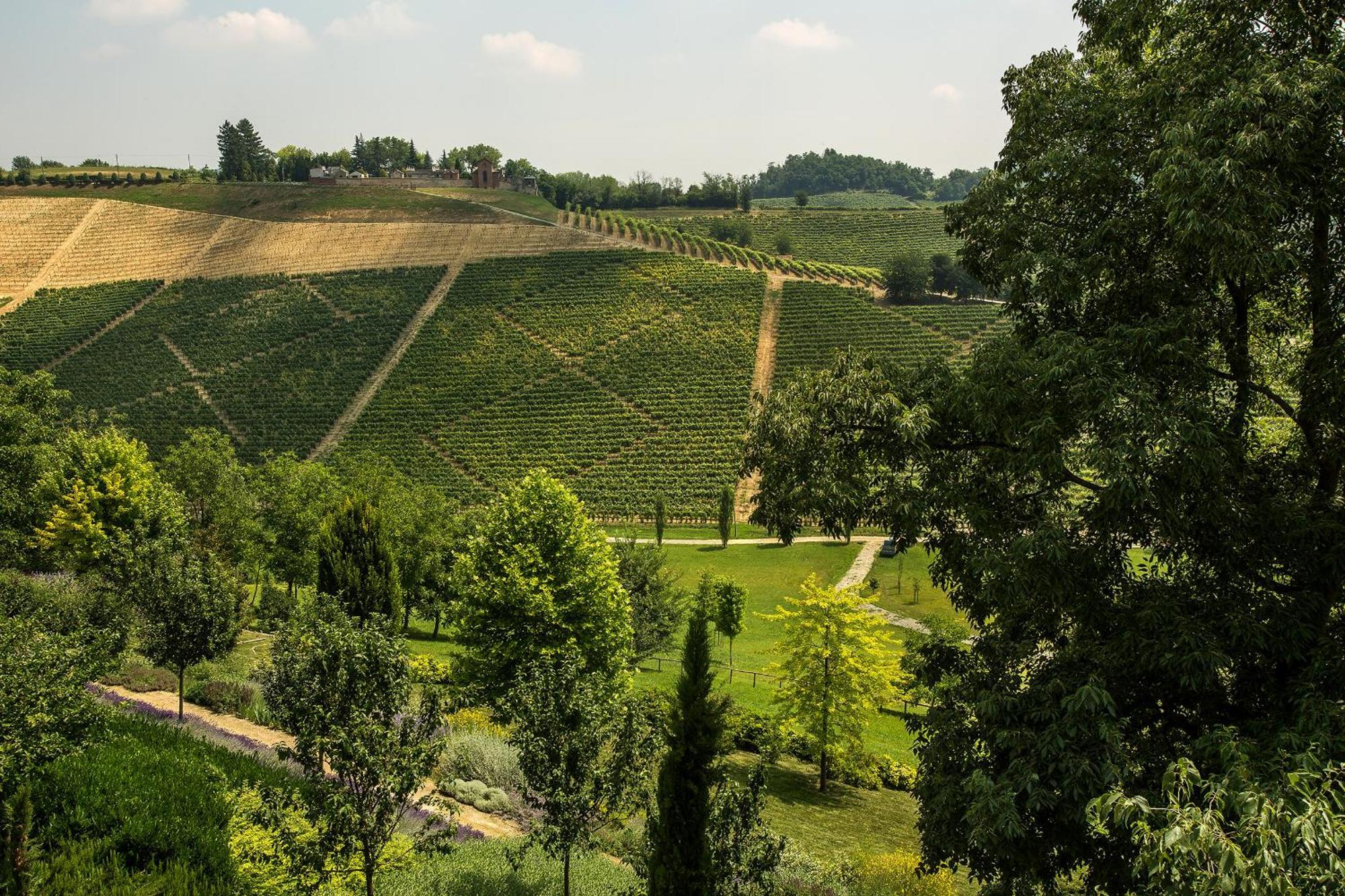 Relais Di Tenuta Santa Caterina B&B Grazzano Badoglio Oda fotoğraf